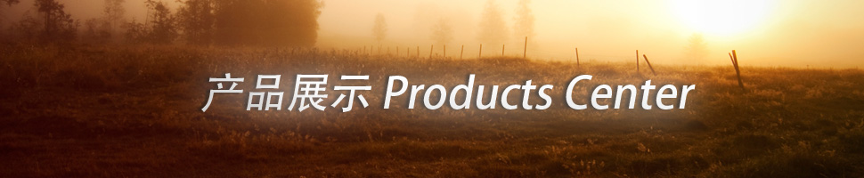 產(chǎn)品展示 - 山東祥龍?jiān)醋o(hù)欄有限公司 產(chǎn)品展示 - 山東祥龍?jiān)醋o(hù)欄有限公司